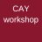 Critical Alignment Yoga Workshop - thema: stabiliteit in beweging